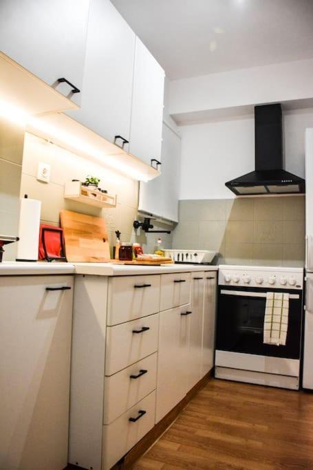 Newly Renovated-City Center Apartment Athen Eksteriør bilde